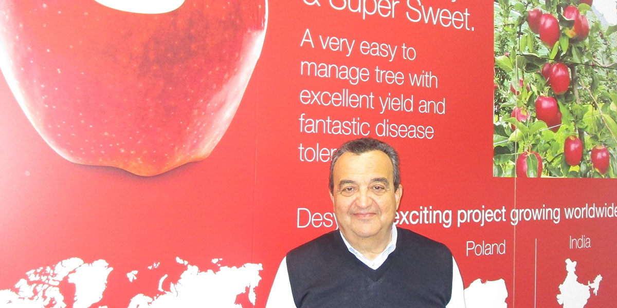 CIV, l'innovazione varietale di fragola e melo al Macfrut